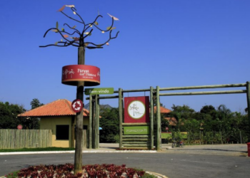 Participe do Cur'Art em Rio das Ostras! Neste sábado, 20/09, o Parque dos Pássaros se transforma em palco de arte, cultura e bem-estar com atividades gratuitas para todas as idades, de oficinas a terapias.