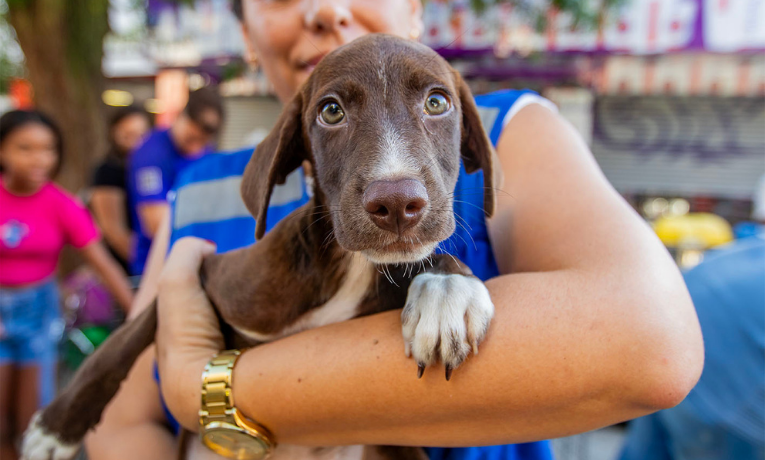 Neste sábado, o Shopping Plaza Macaé sedia uma feira de adoção de cães e gatos. Encontre seu pet ideal, já microchipado, vacinado e vermifugado, e contribua para a posse responsável de animais na cidade.