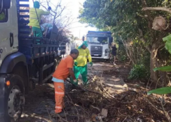 Mais de uma tonelada de resíduos foi retirada do mangue da Ilha da Draga, em Cabo Frio. A iniciativa integra o trabalho da Prefeitura para proteger o meio ambiente e revitalizar o entorno do Mercado do Peixe.
