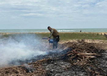 Guarda Civil e Meio Ambiente controlam incêndio em restinga de Cabo Frio