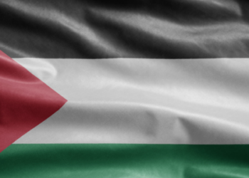 Relatos médicos em Gaza apontam indícios de tortura e execução em corpos devolvidos por Israel. Denúncia ocorre durante a trégua mediada por EUA e países árabes.