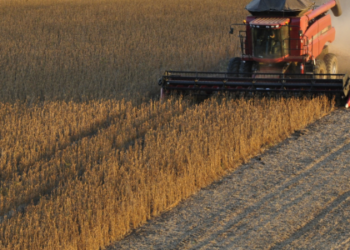 A guerra comercial entre EUA e China favorece o Brasil, que exportou mais de 77 milhões de toneladas de soja para o país asiático, superando os americanos e consolidando seu papel no agronegócio global.
