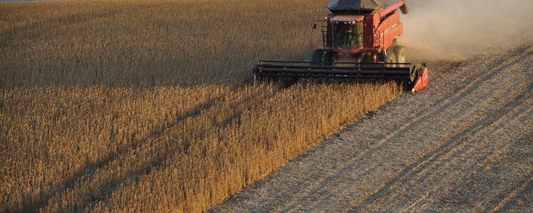 A guerra comercial entre EUA e China favorece o Brasil, que exportou mais de 77 milhões de toneladas de soja para o país asiático, superando os americanos e consolidando seu papel no agronegócio global.