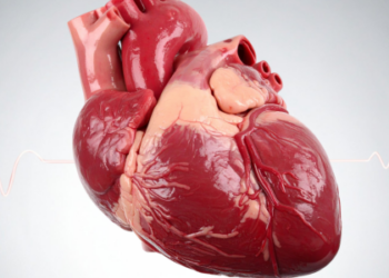 Pesquisa com mais de 9 milhões de adultos mostra que quase todos os casos de doenças cardiovasculares graves estão ligados a hipertensão, colesterol alto, glicose elevada e tabagismo.