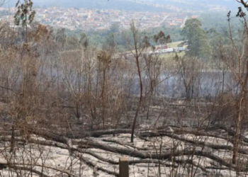 Relatório da Oxfam Brasil revela desigualdade no financiamento climático: apenas 0,34% do Orçamento foi para a área ambiental. Populações negras, indígenas e periféricas são as mais impactadas pela falta de adaptação às mudanças climáticas.