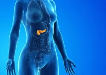 Médicos alertam: álcool, frituras e ultraprocessados podem inflamar o pâncreas e aumentar riscos de pancreatite.