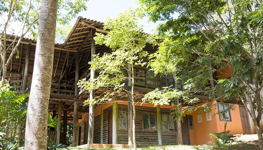 MeliponiRio reforça tradição da meliponicultura em Macaé com atividades sobre manejo, palestras e o tradicional concurso de méis no Parque do Atalaia.