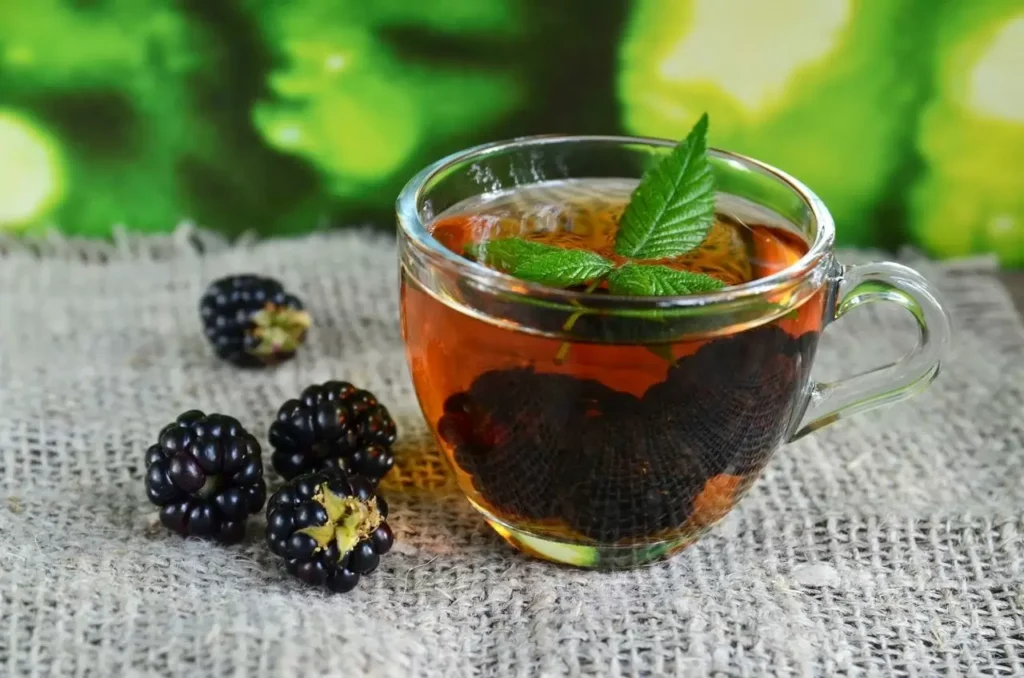 Chá de folha de amora ajuda a aliviar sintomas da menopausa e contribui para o controle da glicose, com compostos antioxidantes e efeito natural no metabolismo.