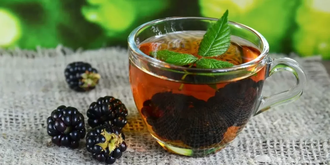 Chá de folha de amora ajuda a aliviar sintomas da menopausa e contribui para o controle da glicose, com compostos antioxidantes e efeito natural no metabolismo.