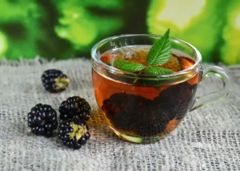 Chá de folha de amora ajuda a aliviar sintomas da menopausa e contribui para o controle da glicose, com compostos antioxidantes e efeito natural no metabolismo.