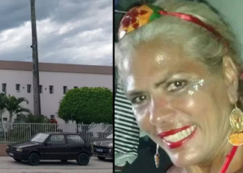 Lia Hollywood morre após ataque de pitbull do próprio filho