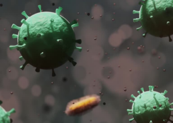 Circuncisão ganha novo peso em estratégias de saúde após evidências sobre HPV e herpes