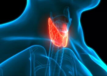 Estudo aponta que bloquear receptor da tireoide TRβ impede avanço do câncer de próstata.