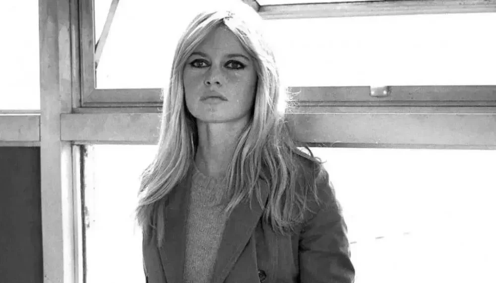 Atriz francesa relatou gravidez traumática e afastamento do filho em autobiografia.
