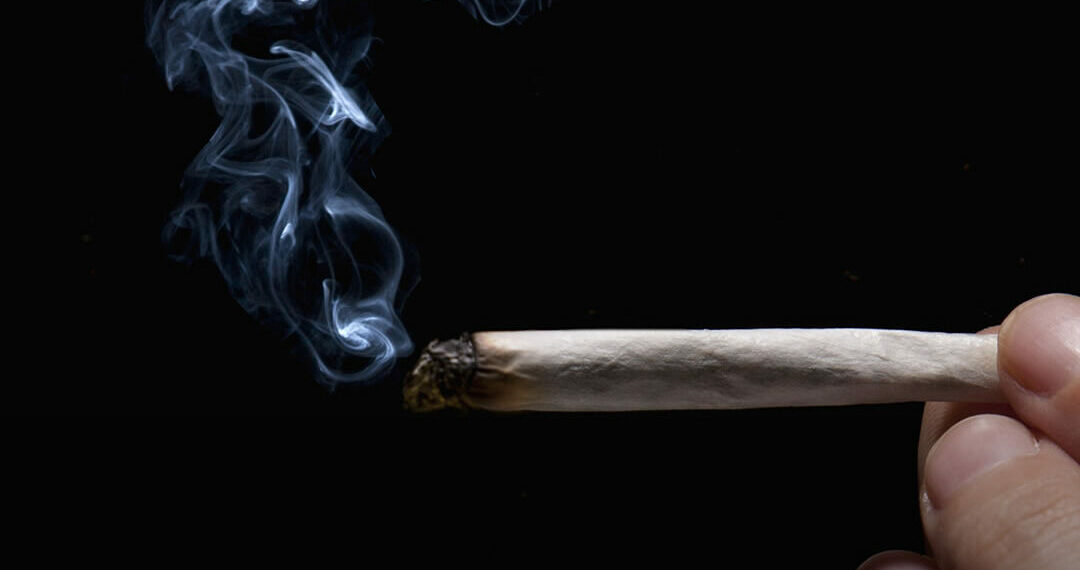 Pesquisa nacional revela crescimento do uso de cannabis no Brasil e uma inversão inédita no consumo entre adolescentes.