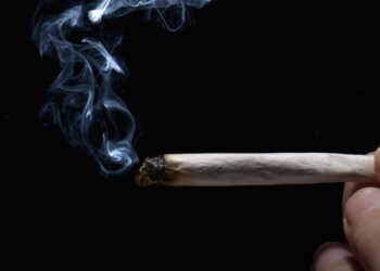 Pesquisa nacional revela crescimento do uso de cannabis no Brasil e uma inversão inédita no consumo entre adolescentes.