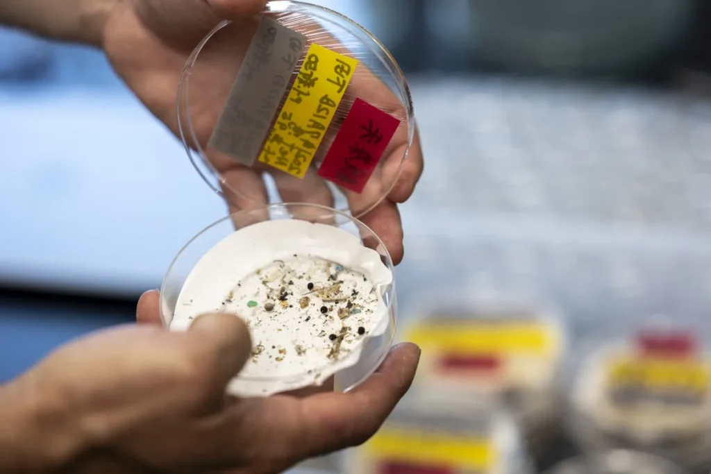Novo estudo indica que o ar urbano pode conter milhões de partículas de plástico invisíveis, com possíveis impactos climáticos e respiratórios.