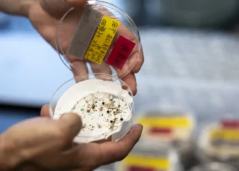 Novo estudo indica que o ar urbano pode conter milhões de partículas de plástico invisíveis, com possíveis impactos climáticos e respiratórios.