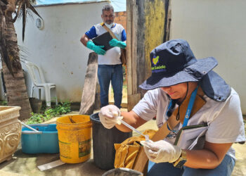 Ações da Vigilância Ambiental intensificam o combate aos mosquitos em Macaé com fumacê, controle vetorial e fiscalização em diversos bairros.