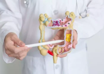 Estudos publicados na Nature Medicine sugerem que transplantes fecais podem reforçar a imunoterapia contra o câncer.
