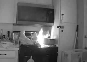 Cena da cozinha com fogo no fogão após o gato subir e acionar o botão, registrada por vídeo de segurança do departamento de bombeiros de Garland.