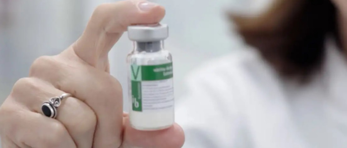 Vacina Butantan-DV inicia imunização em larga escala contra dengue no Brasil