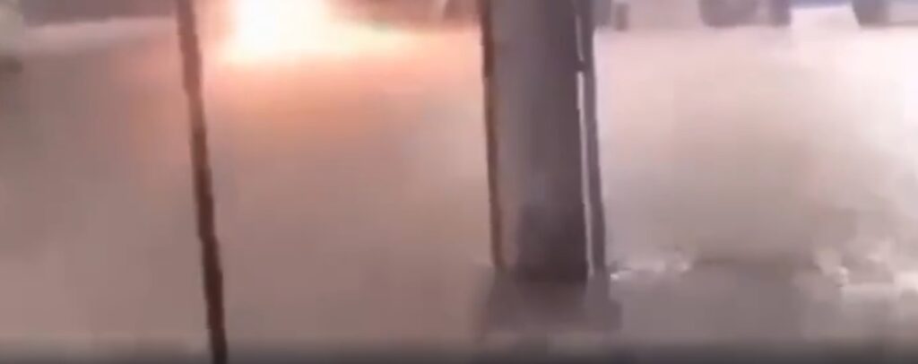 Jacaré é resgatado pelos bombeiros após aparecer em rua de Duque de Caxias