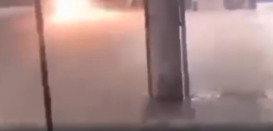 Jacaré é resgatado pelos bombeiros após aparecer em rua de Duque de Caxias