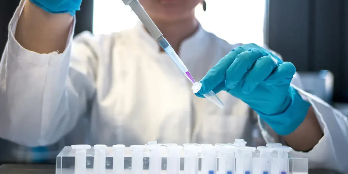 Especialistas alertam para vírus que podem provocar novos surtos e pandemias em 2026, com destaque para a gripe aviária H5N1