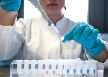 Especialistas alertam para vírus que podem provocar novos surtos e pandemias em 2026, com destaque para a gripe aviária H5N1