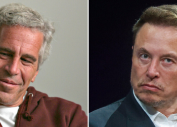 Elon Musk comenta divulgação de arquivos de Jeffrey Epstein