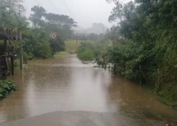 Previsão de temporais até sexta-feira coloca quase todo o Brasil sob alerta. São Paulo registra 19 mortes desde dezembro e centenas de desalojados após fortes chuvas.