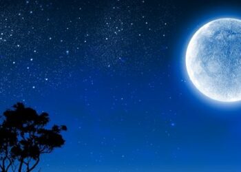 Entenda o ciclo lunar e as fases da Lua observadas no céu