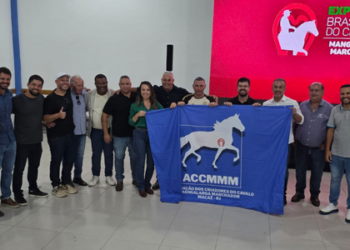 Macaé entra para a história ao sediar Exposição Brasileira do Criador de Mangalarga Marchador 2026