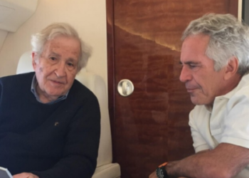 Após novos arquivos do caso Epstein, Valéria Chomsky admite falha e pede desculpas