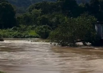 O Rio Paraíba do Sul em Itaocara está sendo monitorado neste domingo (8) devido às chuvas recentes. Equipes permanecem alertas e moradores de áreas ribeirinhas devem acompanhar as atualizações oficiais.