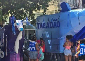 Bois Pintadinhos levam cor, ritmo e identidade ao Calçadão durante programação do Carnaval.