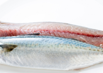 Vigilância Sanitária do Rio orienta sobre compra, armazenamento e preparo de peixes e frutos do mar na Semana Santa para prevenir intoxicações alimentares e garantir consumo seguro.