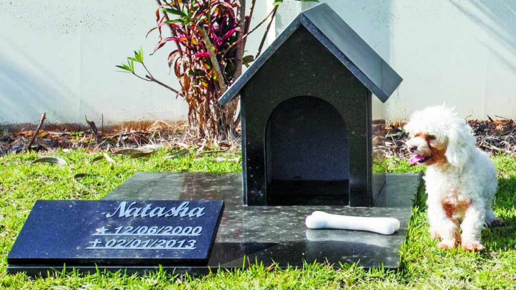 São Paulo autoriza sepultamento de pets em jazigos familiares e amplia opções para despedida digna de cães e gatos.
