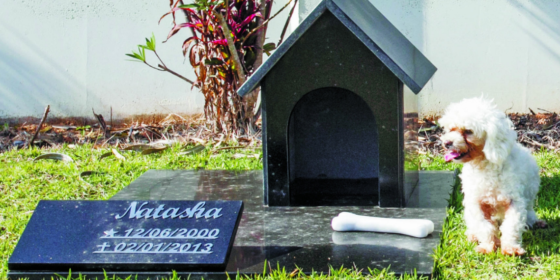 São Paulo autoriza sepultamento de pets em jazigos familiares e amplia opções para despedida digna de cães e gatos.