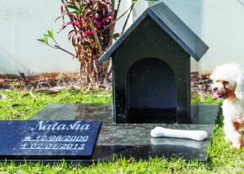 São Paulo autoriza sepultamento de pets em jazigos familiares e amplia opções para despedida digna de cães e gatos.