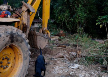 Mais de 400 produtores sofrem perdas após chuvas na Zona da Mata de Minas