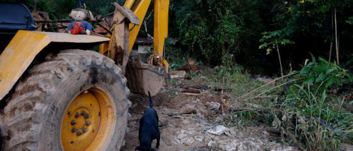 Mais de 400 produtores sofrem perdas após chuvas na Zona da Mata de Minas