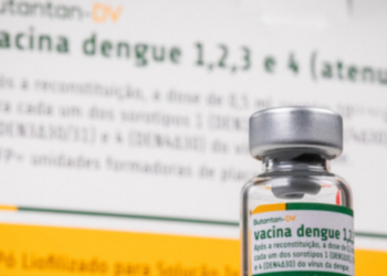 Estudo aponta que a vacina contra dengue do Instituto Butantan mantém 80,5% de proteção contra casos graves após cinco anos de acompanhamento.