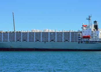 Navios com animais vivos ficam presos no Mediterrâneo após escalada do conflito no Oriente Médio