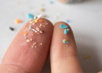 Microplásticos são identificados em amostras de próstata; especialistas pedem investigação maior.