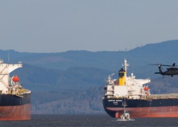 Governo americano autoriza compra temporária de petróleo russo pela Índia