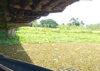 Situação crítica em Campos (RJ) envolve ponte deteriorada, risco de desabamento e impactos ambientais.