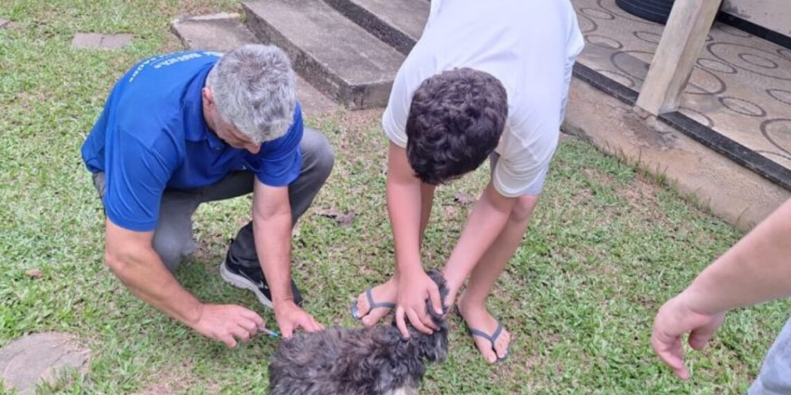 Rio das Ostras realiza reforço da vacinação antirrábica em Rocha Leão neste sábado.