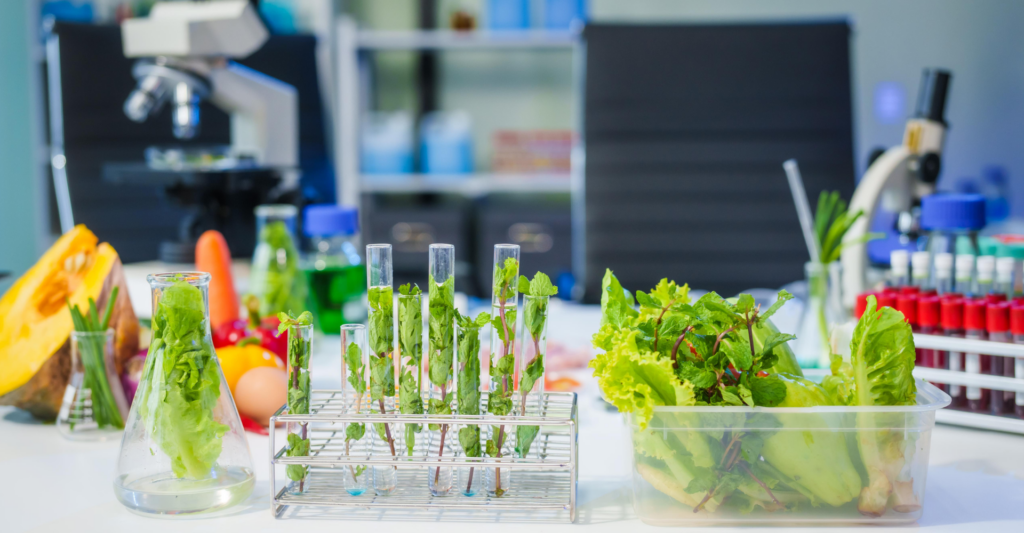 Pesquisadores do Rio de Janeiro desenvolvem plantas mais produtivas e resistentes às mudanças climáticas, com potencial de aumentar a produção e reduzir impactos ambientais.